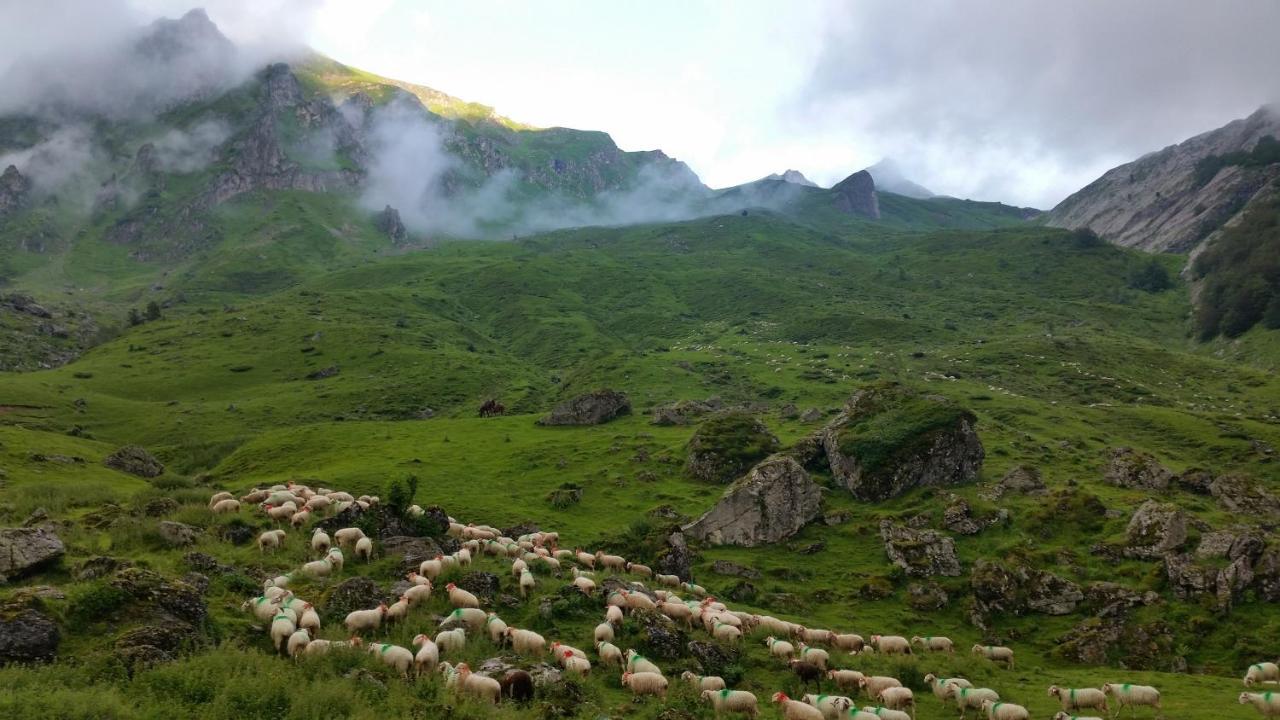 Gite De Montagne Du Plateau De Lhers- Accueil Randonneurs Accous Экстерьер фото