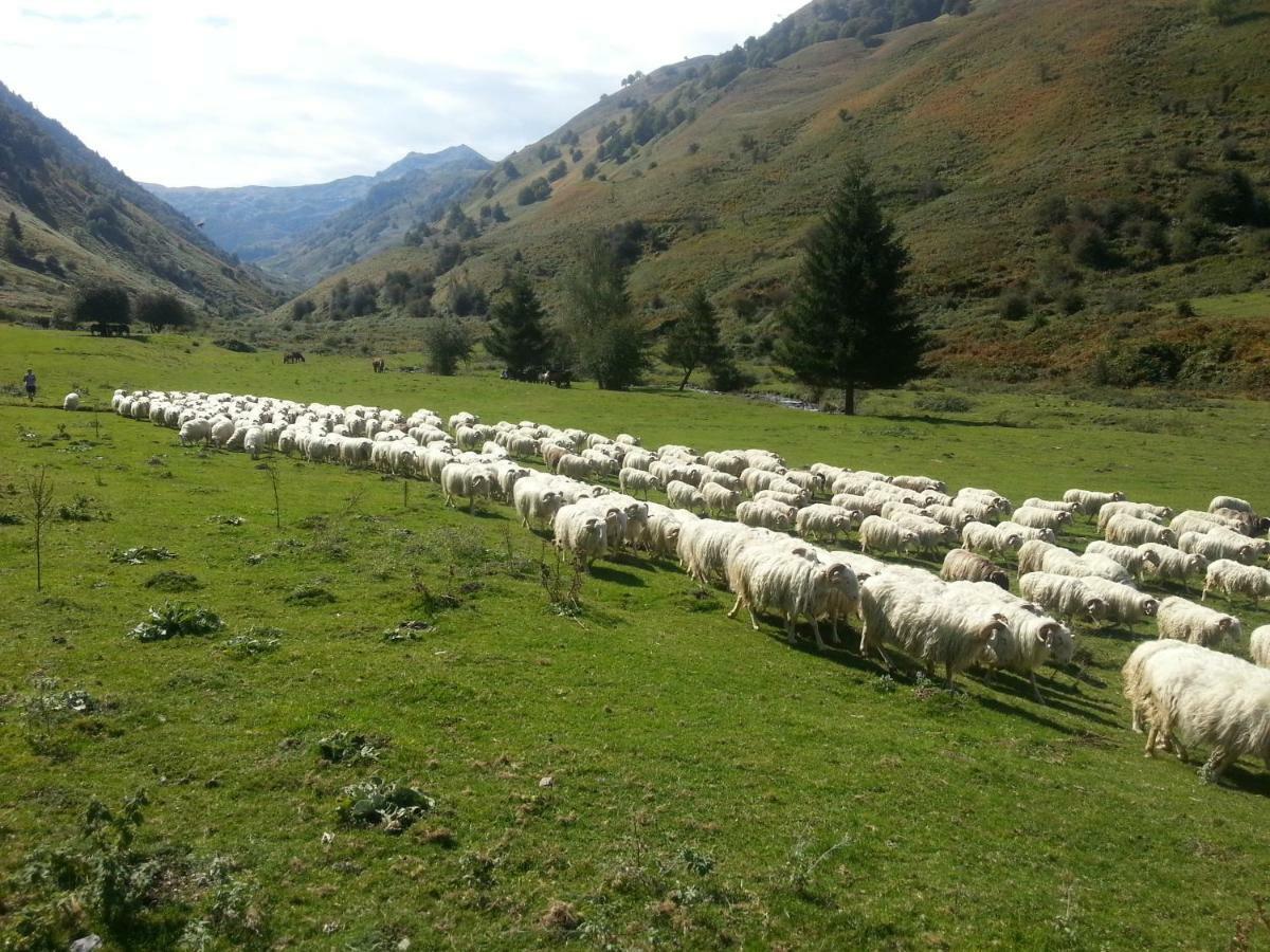 Gite De Montagne Du Plateau De Lhers- Accueil Randonneurs Accous Экстерьер фото