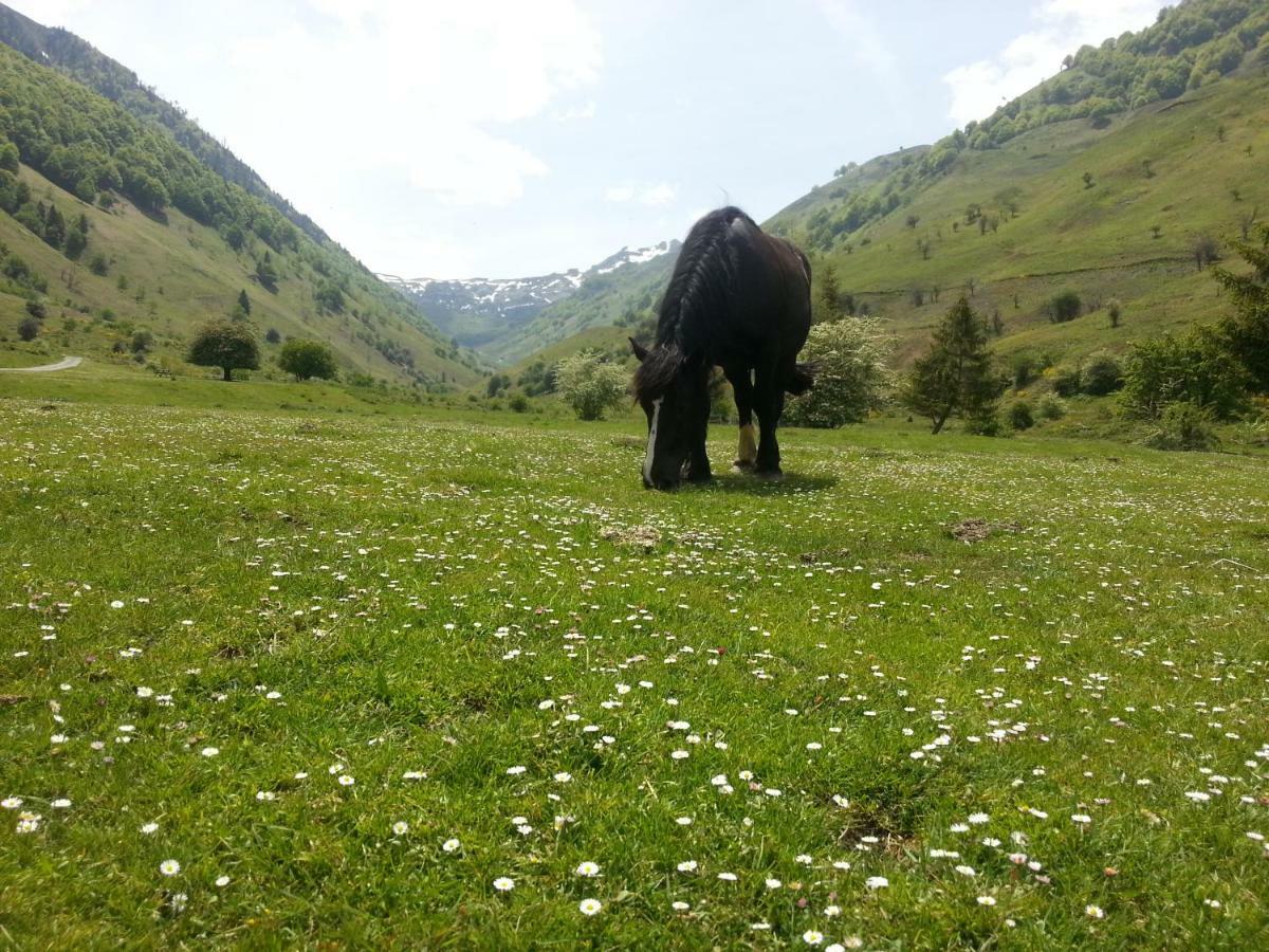 Gite De Montagne Du Plateau De Lhers- Accueil Randonneurs Accous Экстерьер фото